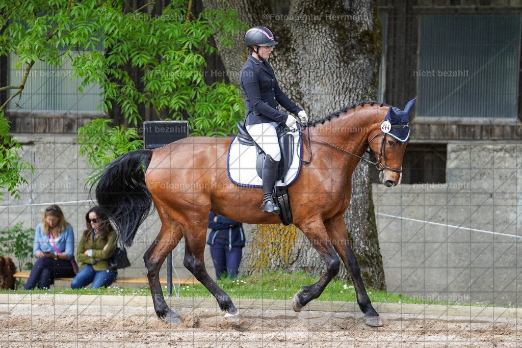 20240519-FAH05145 | Turnierbilder Niederseeon 2024, Vielseitigkeitsdressur, Reitsportbilder aus dem Landkreit Ebersberg, Gut Steinsee, RC Steinsee, Fotoagentur Herrmann