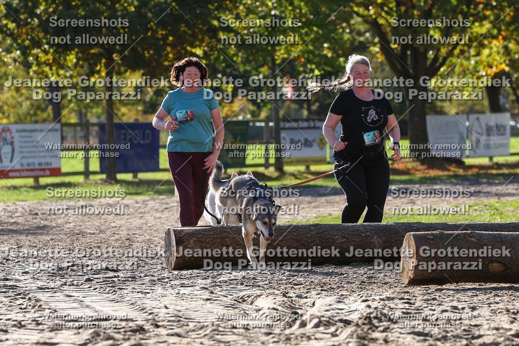 Dog Paparazzi - Strongdog 10-25-6043 | Dog Paparazzi Jeanette Grottendiek Fotografie & Videografie - Realisiert mit Pictrs.com
