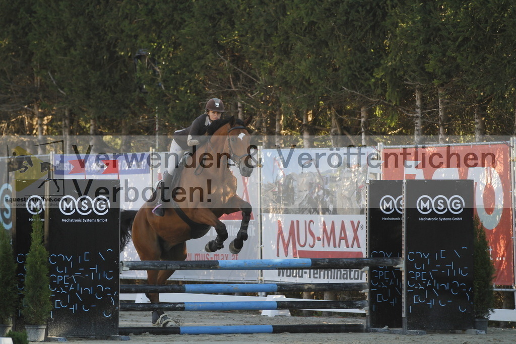 _MG_1130 | equestrian-live-com