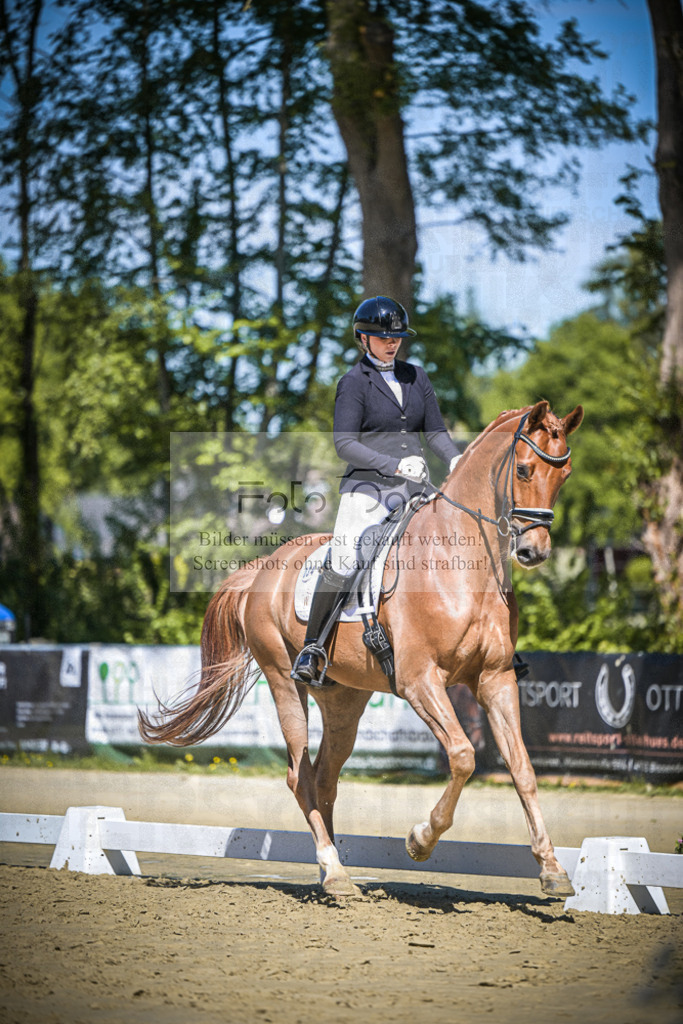 DOS_6051 | Entdecke hochwertige Reitturnierfotos von Foto Oger. Professionell, emotional und authentisch – jetzt Lieblingsmomente im Shop bestellen.Deutschlandweite Turnierfotografie. - Realisiert mit Pictrs.com