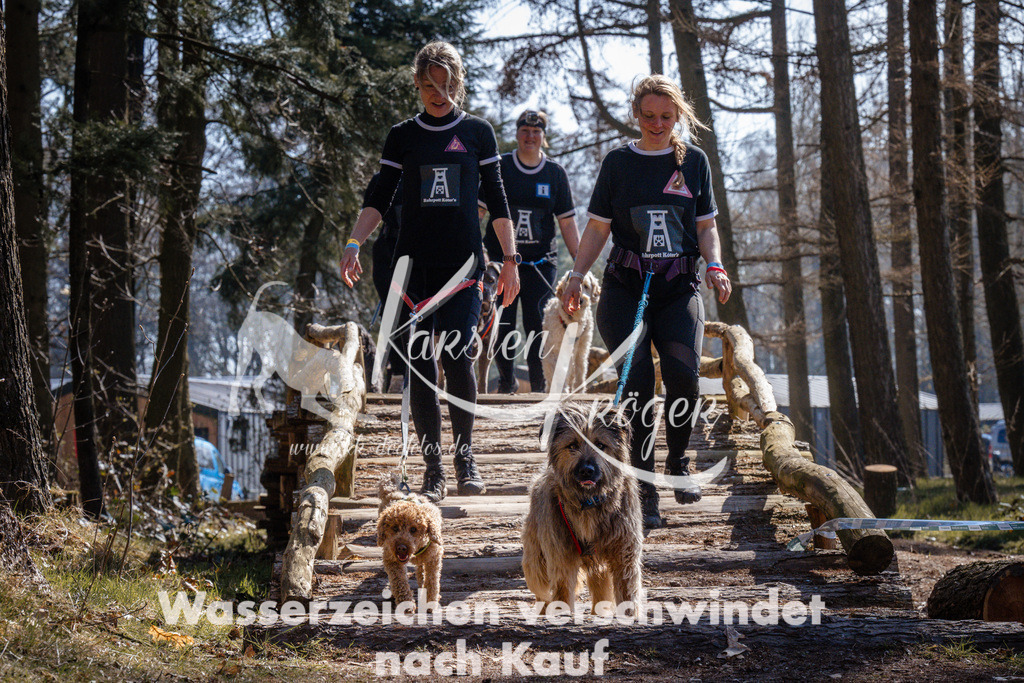 1310_ZZ94482 | kk-dogfotos
