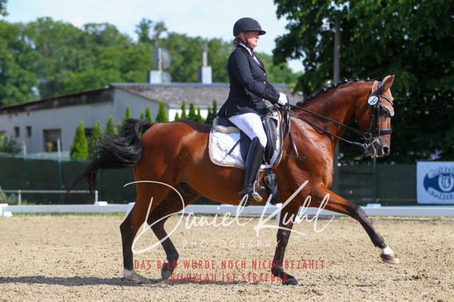 DKP41210 | Turniersportfotografie; Pferdefotografie; Dressurfotografie