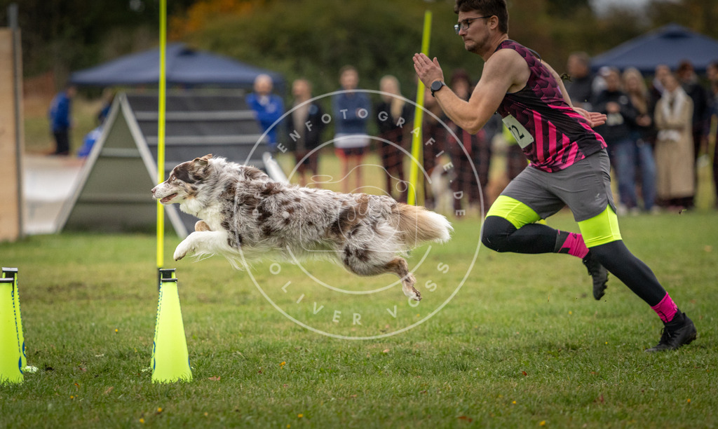 Pfotenfotografie_DV3A0261 | Hundefotografie, Tierfotograf, Pfotenfotografie, Fotoshooting Hund, Hunde Portrait, Hundesport, Hundeportraits, Heideshooting, Hunde, Sportfotograf, Hundefotograf, Turnierhundsport, THS,  - Realisiert mit Pictrs.com
