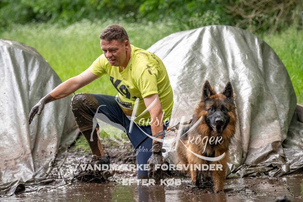 1511_ZZ92323-Bearbeitet | kk-dogfotos