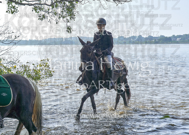 09-23 JAgd PerdölDSC02319_Marina Hewig | Fotografie, FotoArt, PferdesportArt, Pferdesportfotografie, Landschaftsfotografie, Reisefotografie, Reise, Pferde - Realisiert mit Pictrs.com