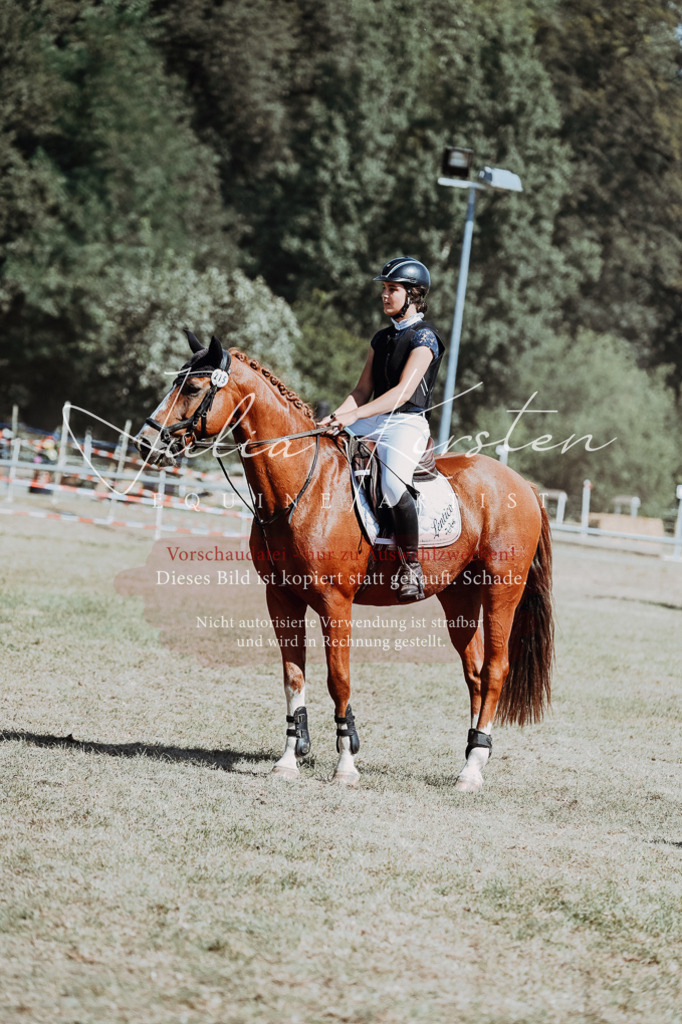 DSC_9688 | Pferde- und Turnierfotografie in Westsachsen. Pferdeportraits, Auftragszeichnungen und intuitive Kunst.