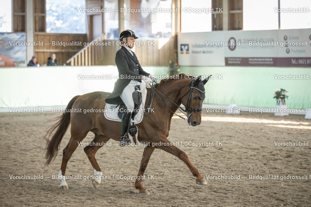 _D5A0580 | Emotionale Pferde- & People-Fotografie rund um Heidelberg, Leimen & Umgebung. Natürliche Fotos von Pferd, Mensch & Familie. Jetzt Termin sichern!