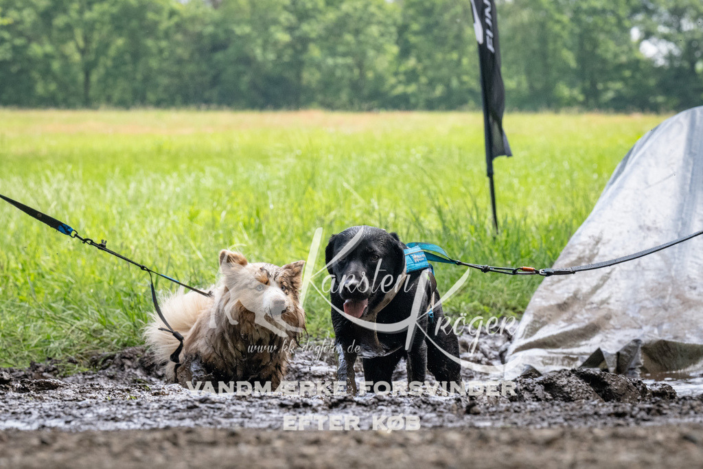 1141_ZZ93894 | kk-dogfotos