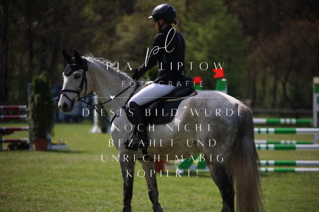 IMGT5440 | pl-fotografie