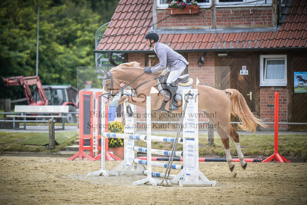 DOS_3339 | Entdecke hochwertige Reitturnierfotos von Foto Oger. Professionell, emotional und authentisch – jetzt Lieblingsmomente im Shop bestellen.Deutschlandweite Turnierfotografie. - Realisiert mit Pictrs.com