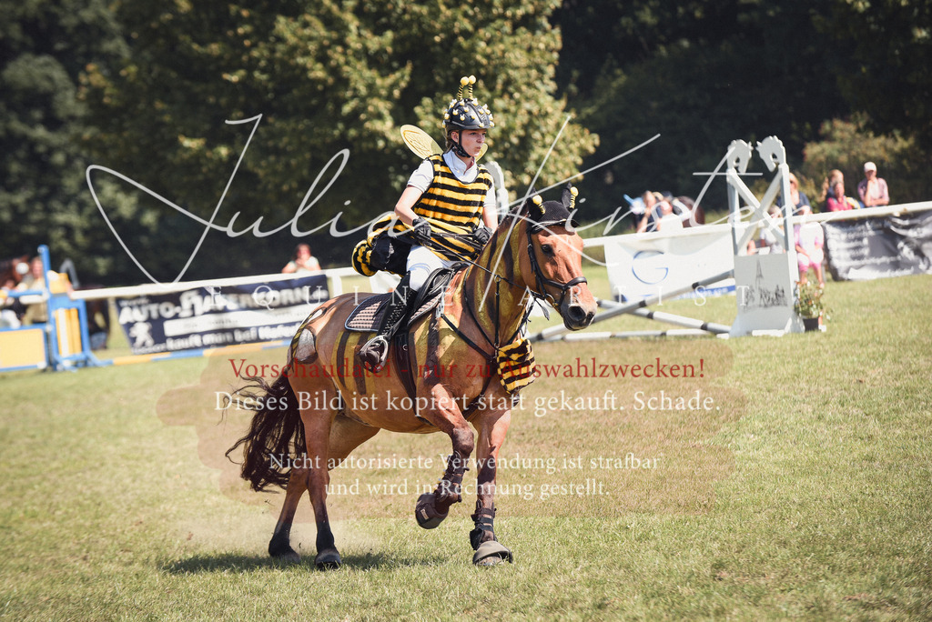 DSC_0289 | Pferde- und Turnierfotografie in Westsachsen. Pferdeportraits, Auftragszeichnungen und intuitive Kunst.