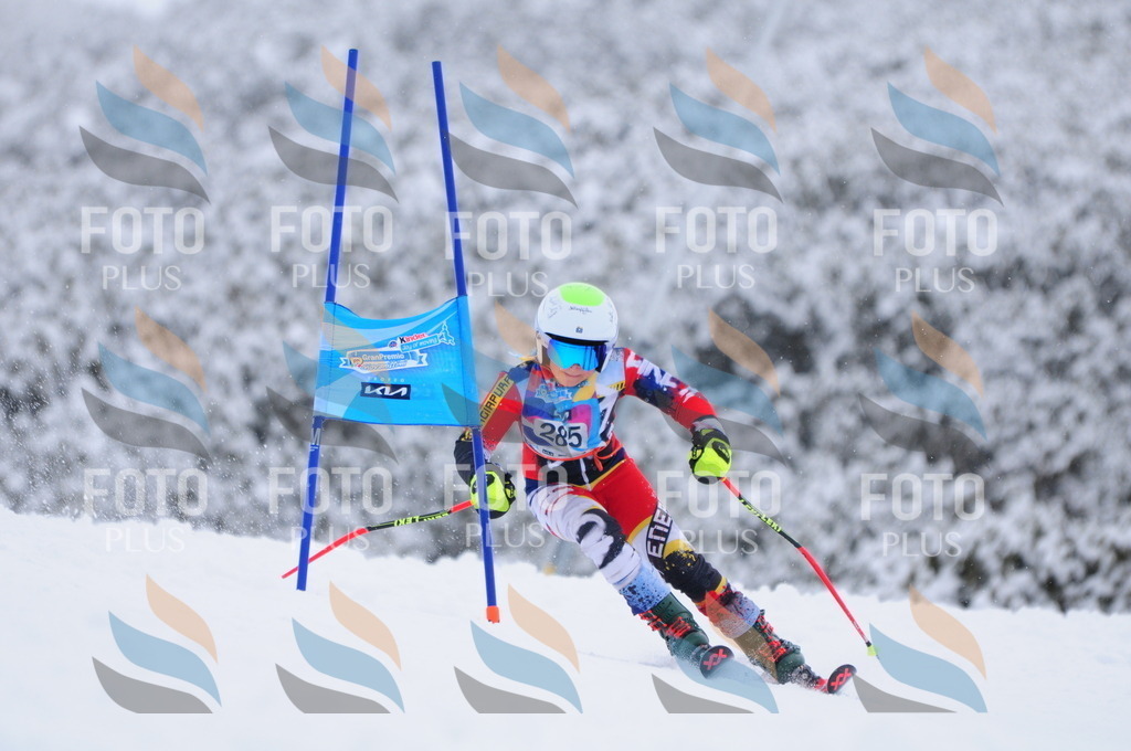 C2991 | holidayphoto