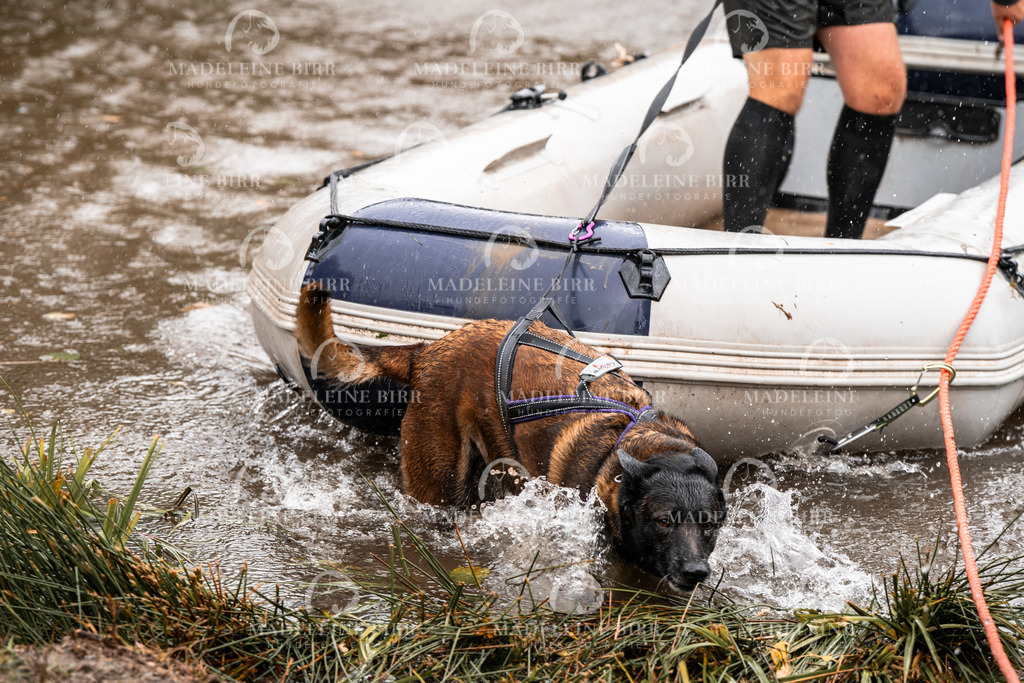 madeleinebirr-fotografie2025.campcanis.11-12Uhr-409 | hundefotografie-birr