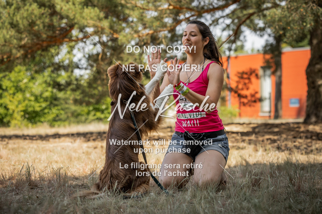 nelerasche_soDD3_113 | nelerasche