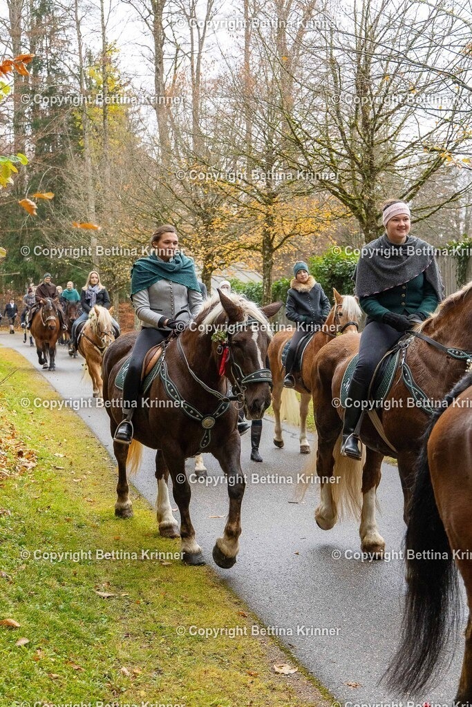 LL25-257 | foto-bettina-krinner - Realisiert mit Pictrs.com