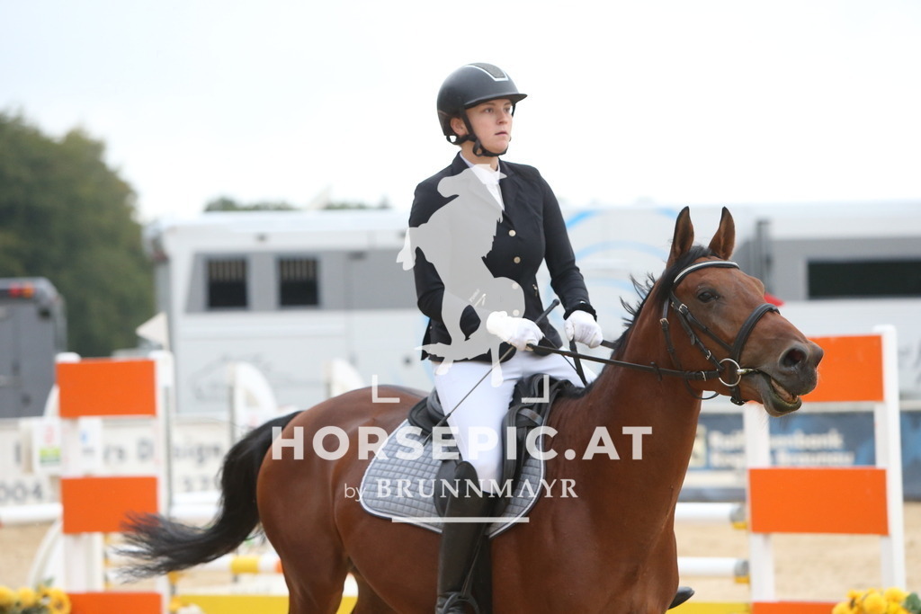 DL2Q0343 | Willkommen bei Brunnmayr - Design & Fotografie – Ihrem Spezialisten für Reitturniere und Pferdeveranstaltungen in Oberösterreich, Salzburg und Bayern! Seit über 17 Jahren sind wir leidenschaftlich dabei.
