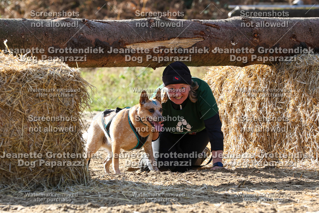 Dog Paparazzi - Strongdog 10-25-5991 | Dog Paparazzi Jeanette Grottendiek Fotografie & Videografie - Realisiert mit Pictrs.com