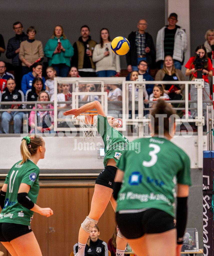 Volleyball I Frauen I Saison 2025-2026 I 2 Bundesliga Pro I 16. Spieltag VFL Oythe - TV Planegg-Krailling-15 | Julia Ziegler (12,Planegg-Krailling) - Realisiert mit Pictrs.com