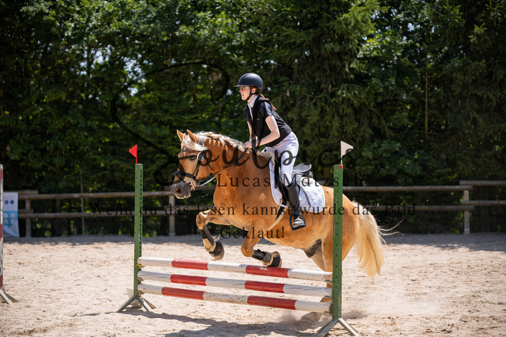 A7V08355 | Pferdefotograf