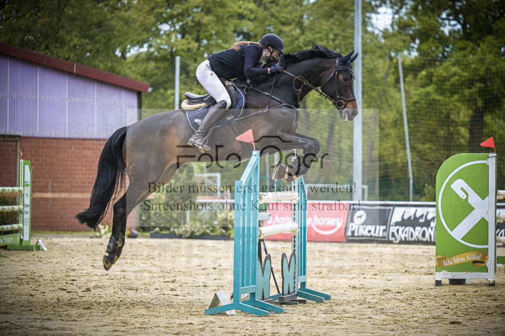 DOS_0016 | Entdecke hochwertige Reitturnierfotos von Foto Oger. Professionell, emotional und authentisch – jetzt Lieblingsmomente im Shop bestellen.Deutschlandweite Turnierfotografie. - Realisiert mit Pictrs.com