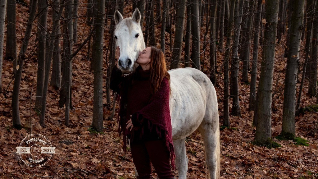 Lieblingsbilder_Photoboo_64 | Pferde- und Hundefotografie in Köln und Umgebung von Vanessza Csuka - Realisiert mit Pictrs.com