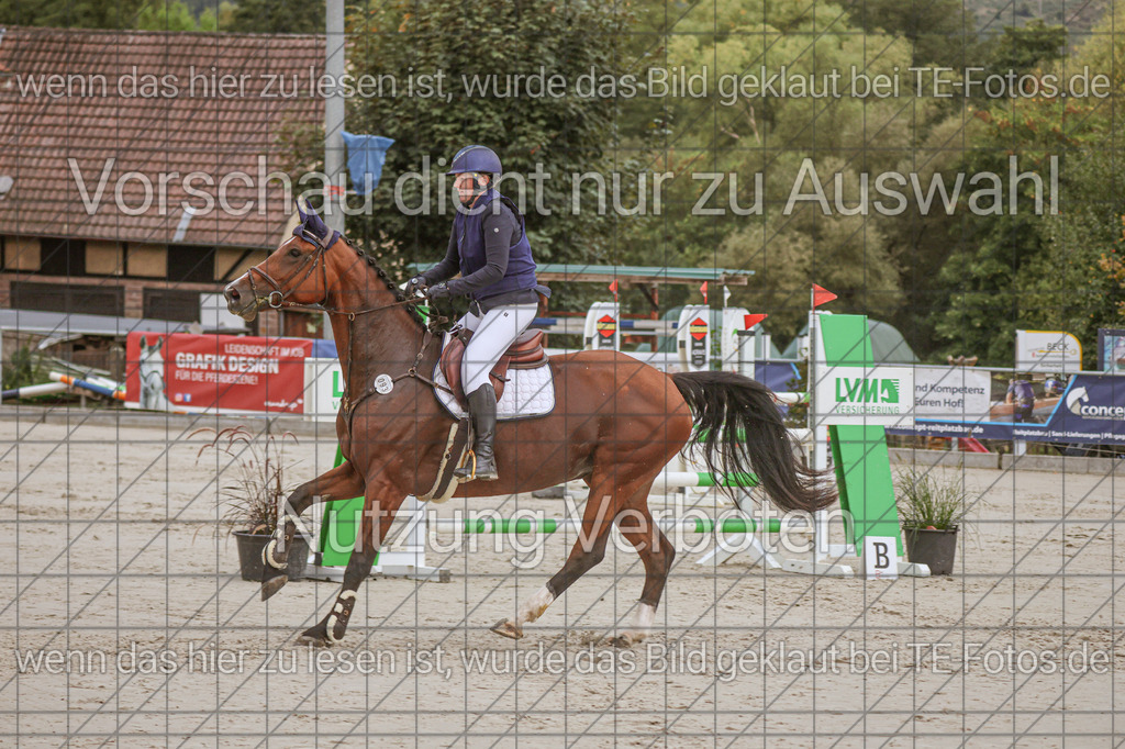 2025-09-22_09-44-38_MG_4495 | TE-Fotos