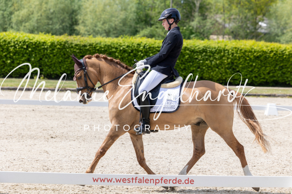 7I8A0447 | melanie-engelhardt-photography - Realisiert mit Pictrs.com