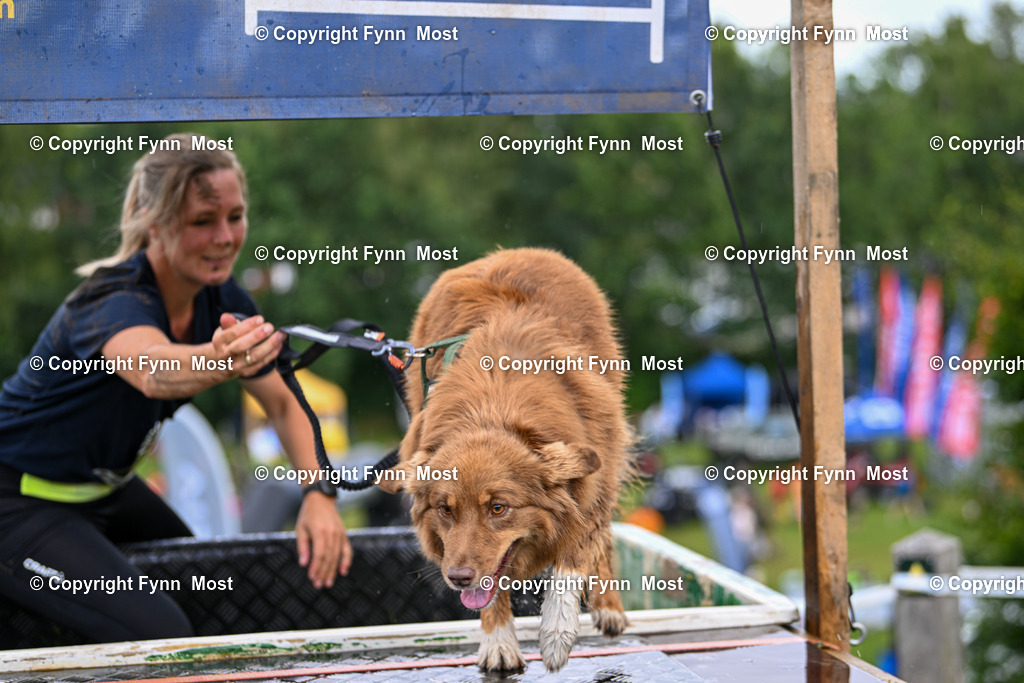 DSC_0499 | Hallo und herzlich Willkommen auf meiner Shop-Seite Fynn Most.

Ich wünsche Dir viel Spaß beim stöbern durch die Bilder, wenn Du Fragen hast oder Bilder vermisst, kannst du mir gerne eine Nachricht schreiben. - Realisiert mit Pictrs.com