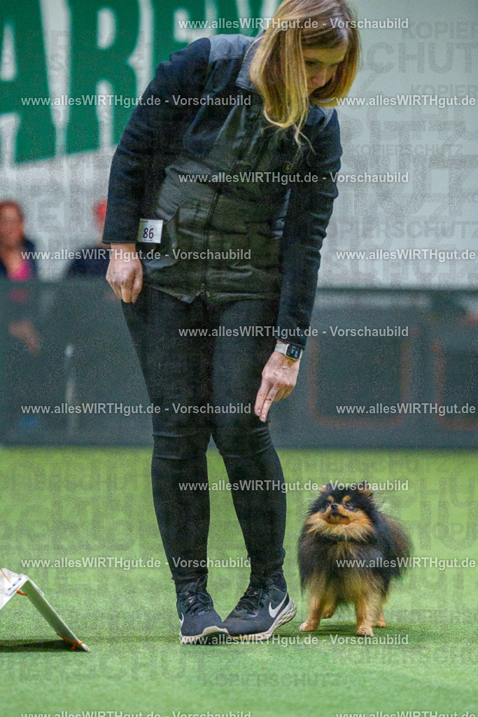 7R503508 | Professionelle Tierfotografie in Mönchengladbach von Daniel Wirth (allesWIRTHgut). Liebevolle & natürliche Bilder von Hunden & Katzen für unvergessliche Erinnerungen.