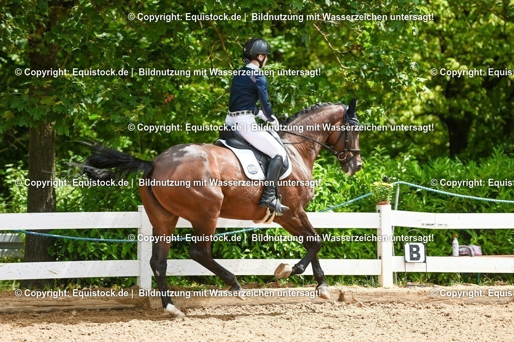 20230716_03_Dressurprfg. Kl.L - Tr._0285 | equistock