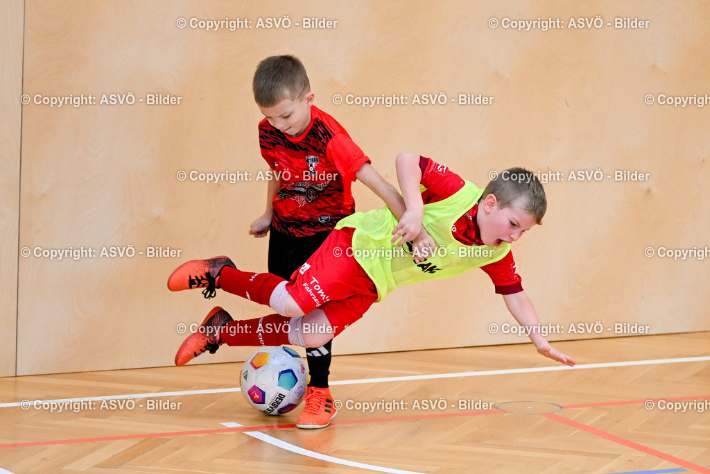 ASVÖ_ Fussball Nachwuchs Hallenturnier 2026_ SV Gallneukirchen_ 28.02.2026-246 | 28.02.2026, Gallneukirchen, AUT, ASVÖ, Fussball Nachwuchs Hallenturnier 2026, SV Gallneukirchen im Bild Teilnehmer U7©Harald Dostal / fodo.media - Realisiert mit Pictrs.com