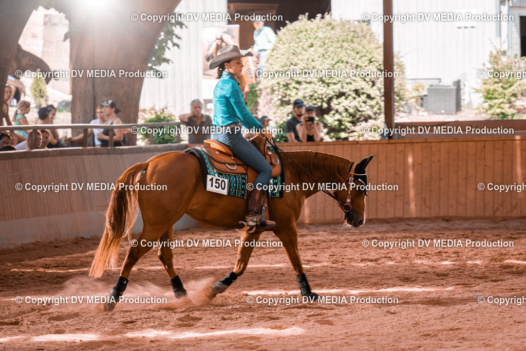 NE200849 | dv-media-shop - Realisiert mit Pictrs.com