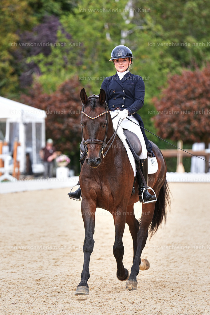 11-066-Dressur S___-Marixx-1642 | working equitationturnier fotograf videograf stoibphotography marixx film working equitation deutschland reitsport turnierfotografie eventfotografie equestrian events
