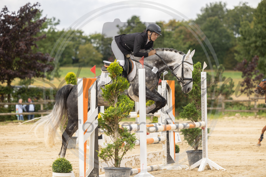 994A7804 | sabrinanicolaifotografie - Realisiert mit Pictrs.com