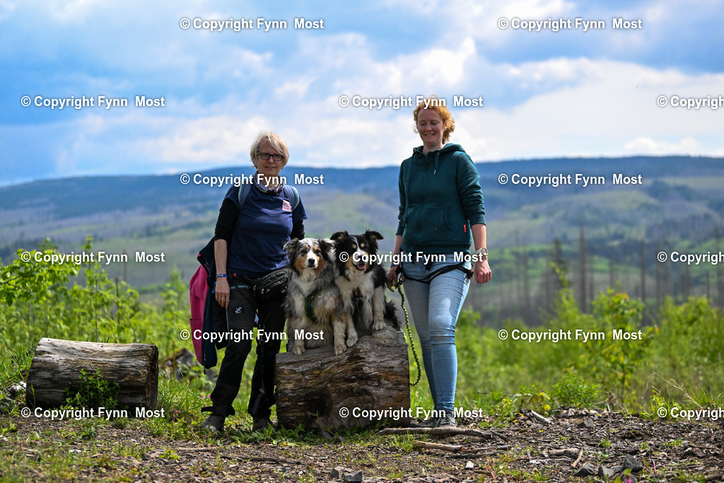 DSC_5350 | Hallo und herzlich Willkommen auf meiner Shop-Seite Fynn Most.

Ich wünsche Dir viel Spaß beim stöbern durch die Bilder, wenn Du Fragen hast oder Bilder vermisst, kannst du mir gerne eine Nachricht schreiben. - Realisiert mit Pictrs.com