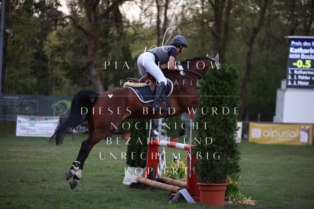 IMGT9561 | pl-fotografie