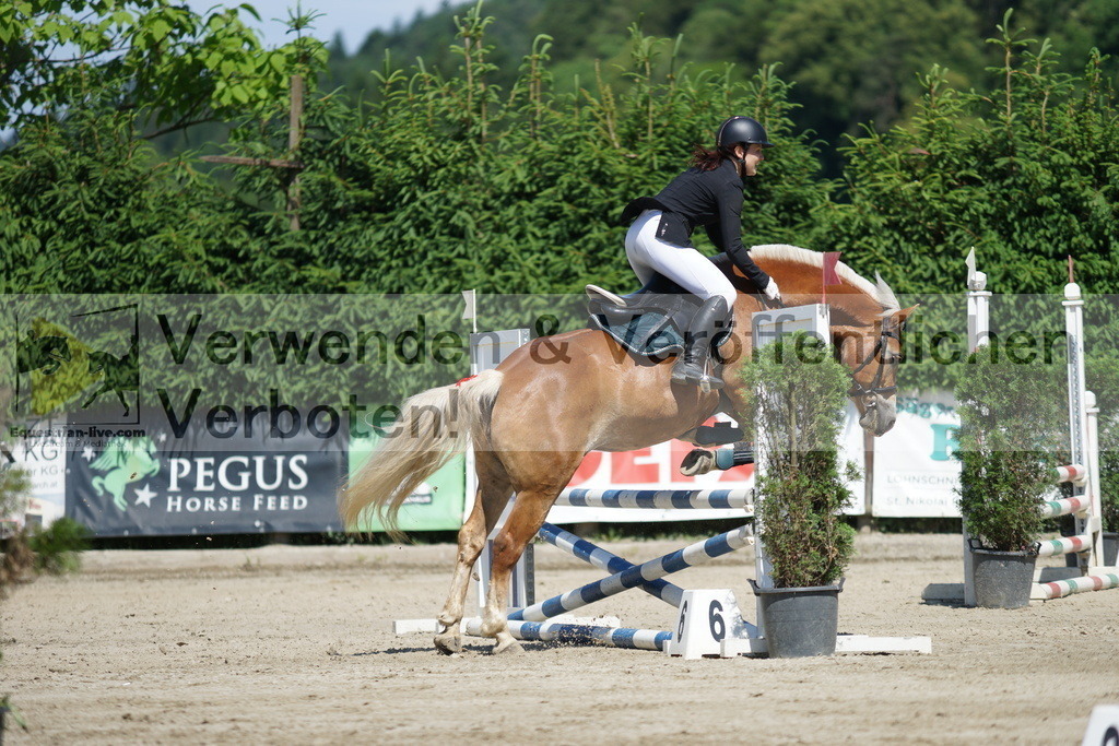 DSC06248 | equestrian-live-com