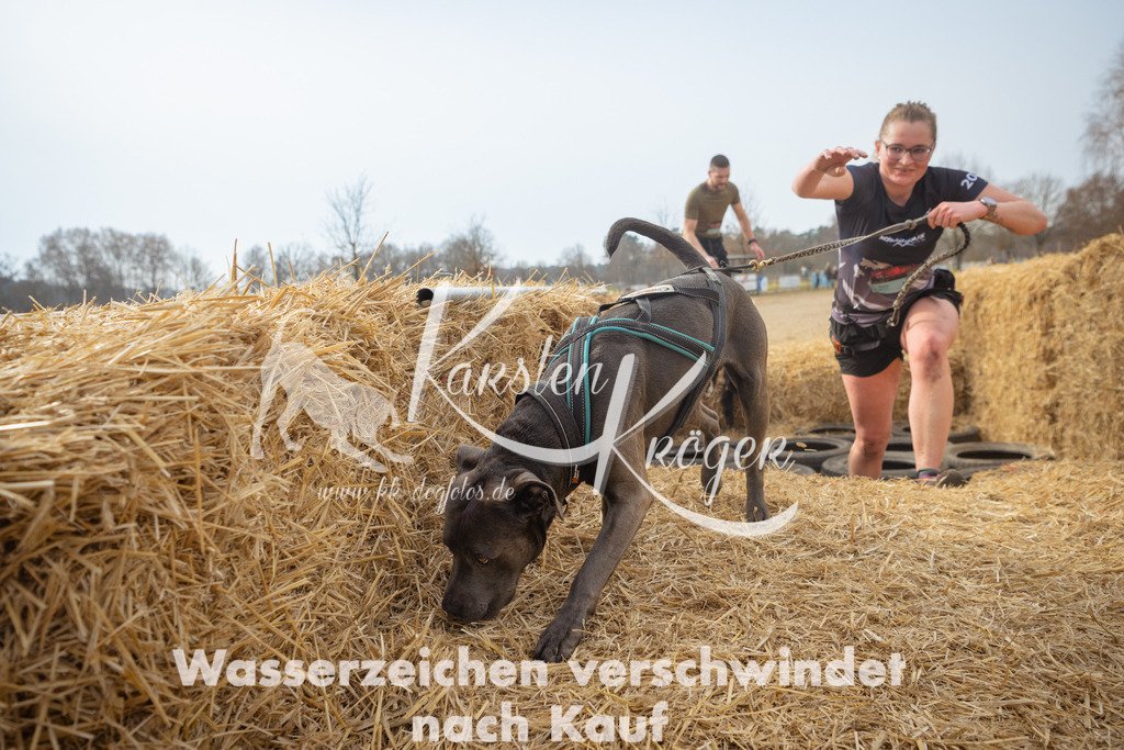 1058_ZZ91239 | kk-dogfotos