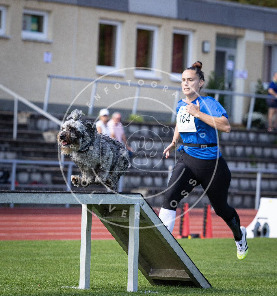Pfotenfotografie_DV3A9736 | Hundefotografie, Tierfotograf, Pfotenfotografie, Fotoshooting Hund, Hunde Portrait, Hundesport, Hundeportraits, Heideshooting, Hunde, Sportfotograf, Hundefotograf, Turnierhundsport, THS,  - Realisiert mit Pictrs.com