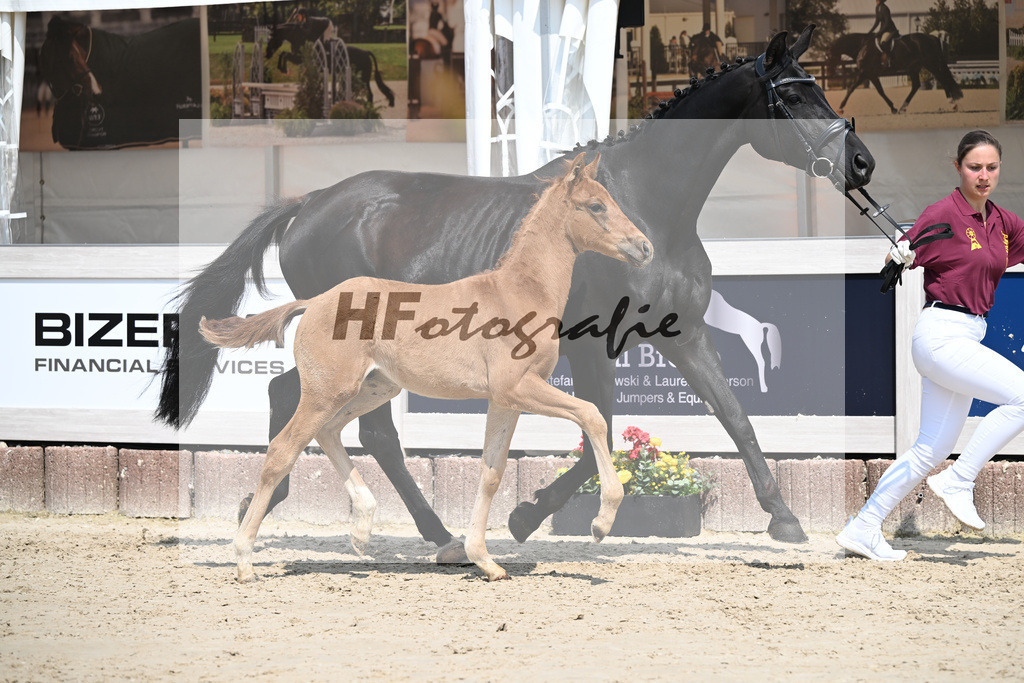 Viva Vegas x Top Gear_HF_Leder_12250463 | hf-fotografie - Realisiert mit Pictrs.com