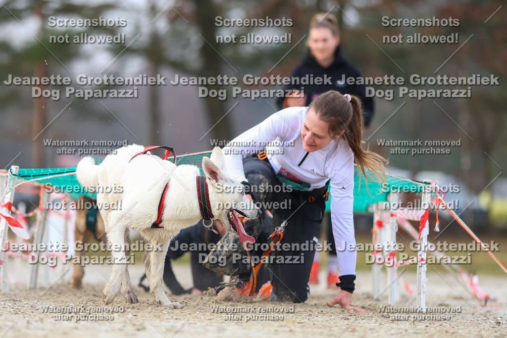 Dog Paparazzi - Strongdog North Mrz26-3788 | Dog Paparazzi Jeanette Grottendiek Fotografie & Videografie - Realisiert mit Pictrs.com