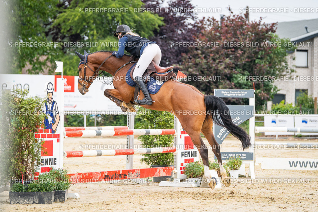 DSC09828 | Pferdegrafie