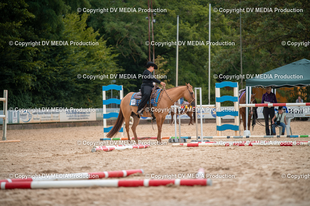 ZS2_8070 | dv-media-shop - Realisiert mit Pictrs.com