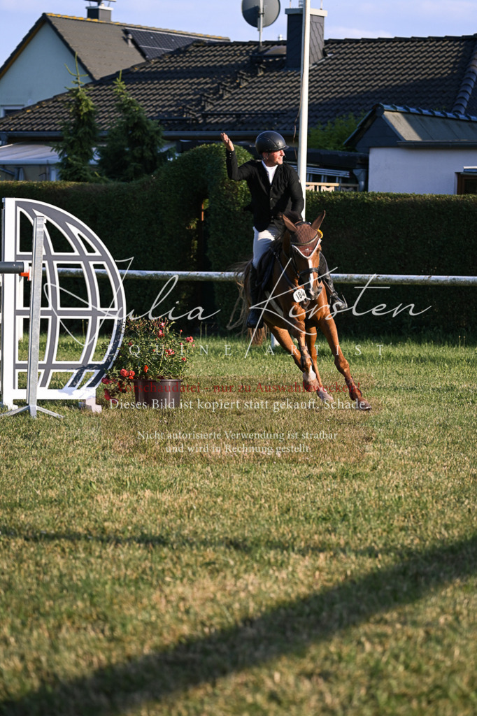 DSC_1975 | Pferde- und Turnierfotografie in Westsachsen. Pferdeportraits, Auftragszeichnungen und intuitive Kunst.