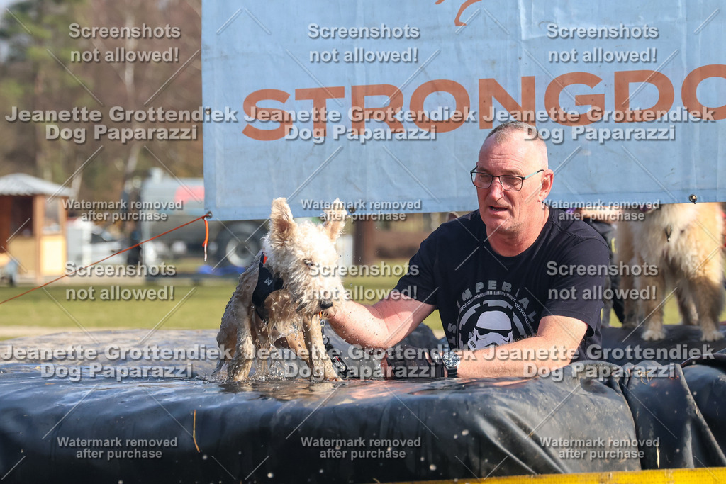 Dog Paparazzi - Strongdog North Mrz26-2086 | Dog Paparazzi Jeanette Grottendiek Fotografie & Videografie - Realisiert mit Pictrs.com