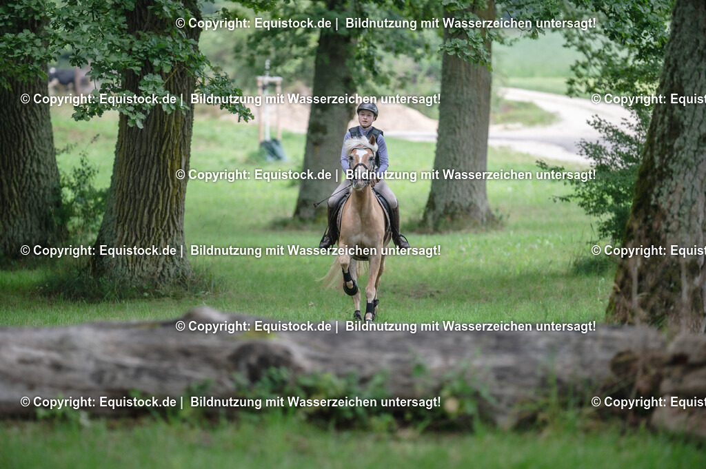 20250726_Vielseitigkeitslehrgang-Marbach_0199 | Foto: Thomas Hartig