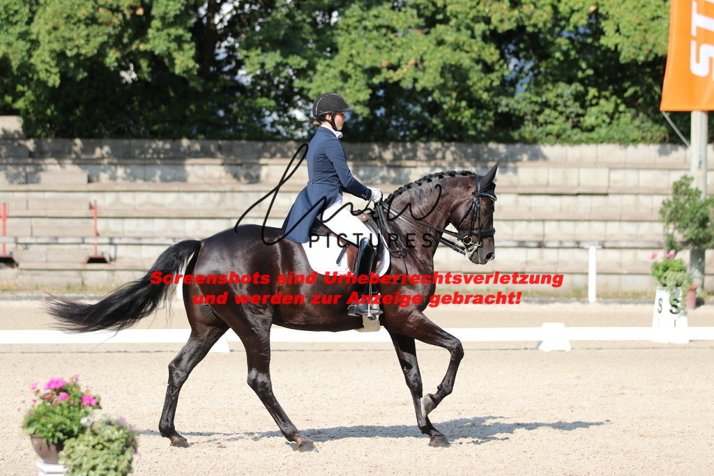 IMG_9005 | lmwpictures - Realisiert mit Pictrs.com