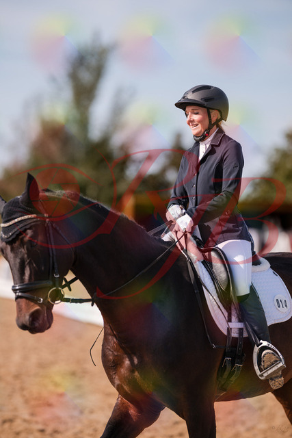 2026_10_03_Siefer-Hof_133815_Z81_95281669 | Professionelle Reitsport-, Turnier- und Eventfotografie von Robert Broda. Galerien mit ausgewählten und bearbeiteten Bildern direkt online ansehen und bestellen.