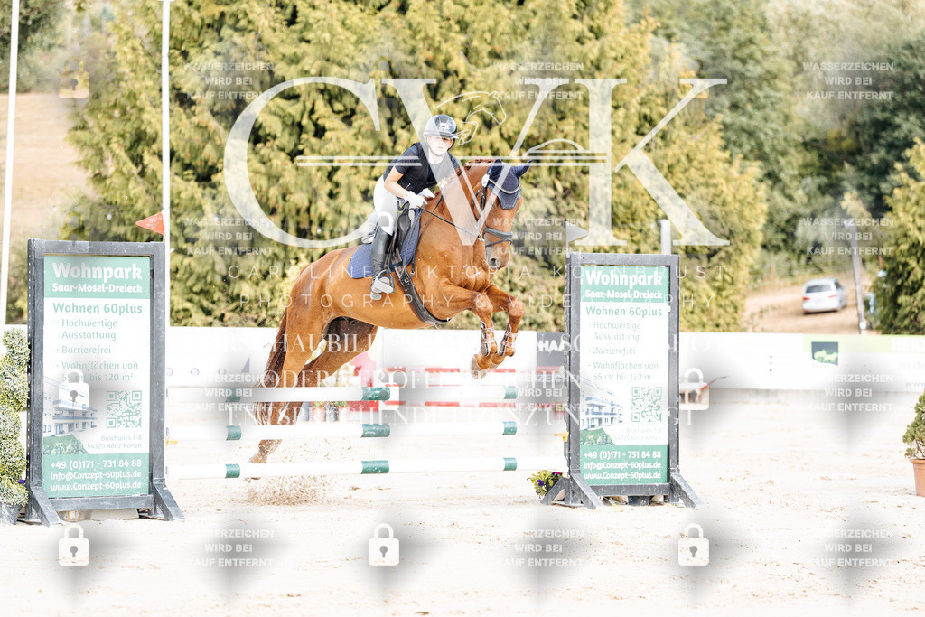 CK908988 | Turnierfotografie Pferdefotografie Trier Rheinland-Pfalz Pferdesport Reitsport Tierfotografie Sportfotografie Pferdevideo Pferdevideografie Equestrianvideography equestrianphotography  - Realisiert mit Pictrs.com