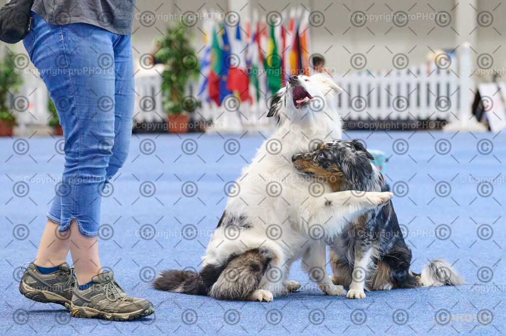 202406_ÖKV-IHA-Tulln24_DSC_4635 | proPHOTO - Realisiert mit Pictrs.com